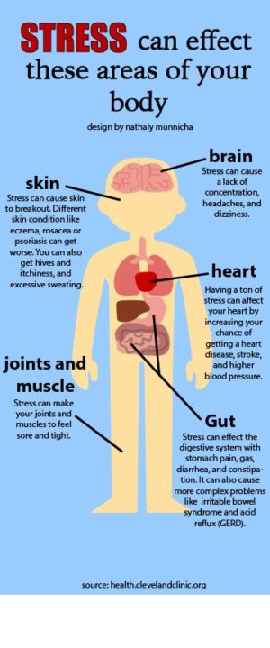 Stress and the effects on your body – CNHS Media