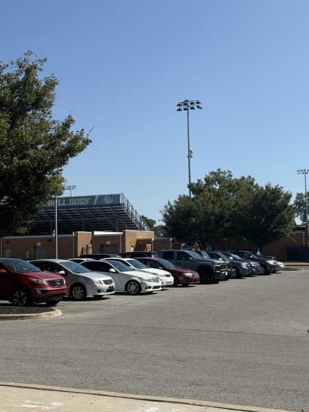 THE PARKING DILEMMA